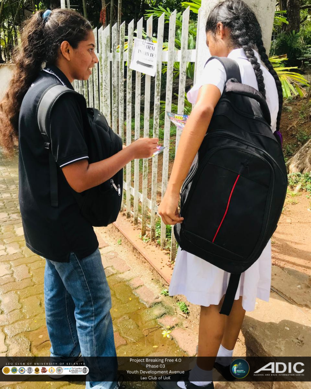 Campaign Activity